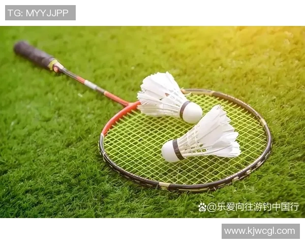 陈敏独家分享羽毛球技巧与心得助你提升竞技水平与乐趣