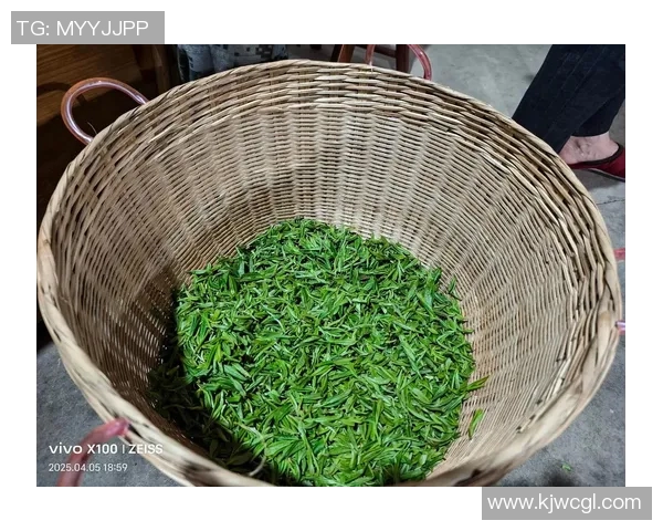 茶香四溢的绿茵场上足球明星们的爱茶生活揭秘