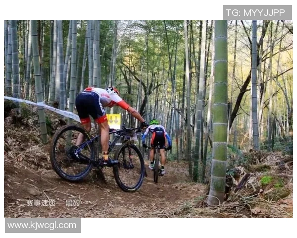 赛后分析:西安篮球队与南京篮球队的速度对决全景回顾 赛后分析:西安篮球队与南京篮球队的速度对决全景回顾