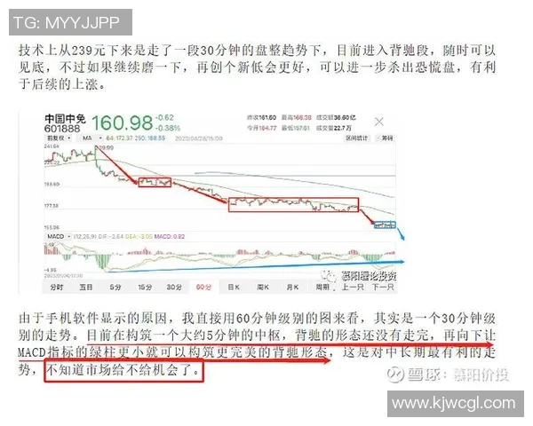 重庆排球队与北京排球队赛后技术分析与战术复盘探讨